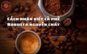cà phê Robusta nguyên chất