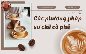 các phương pháp sơ chế cà phê